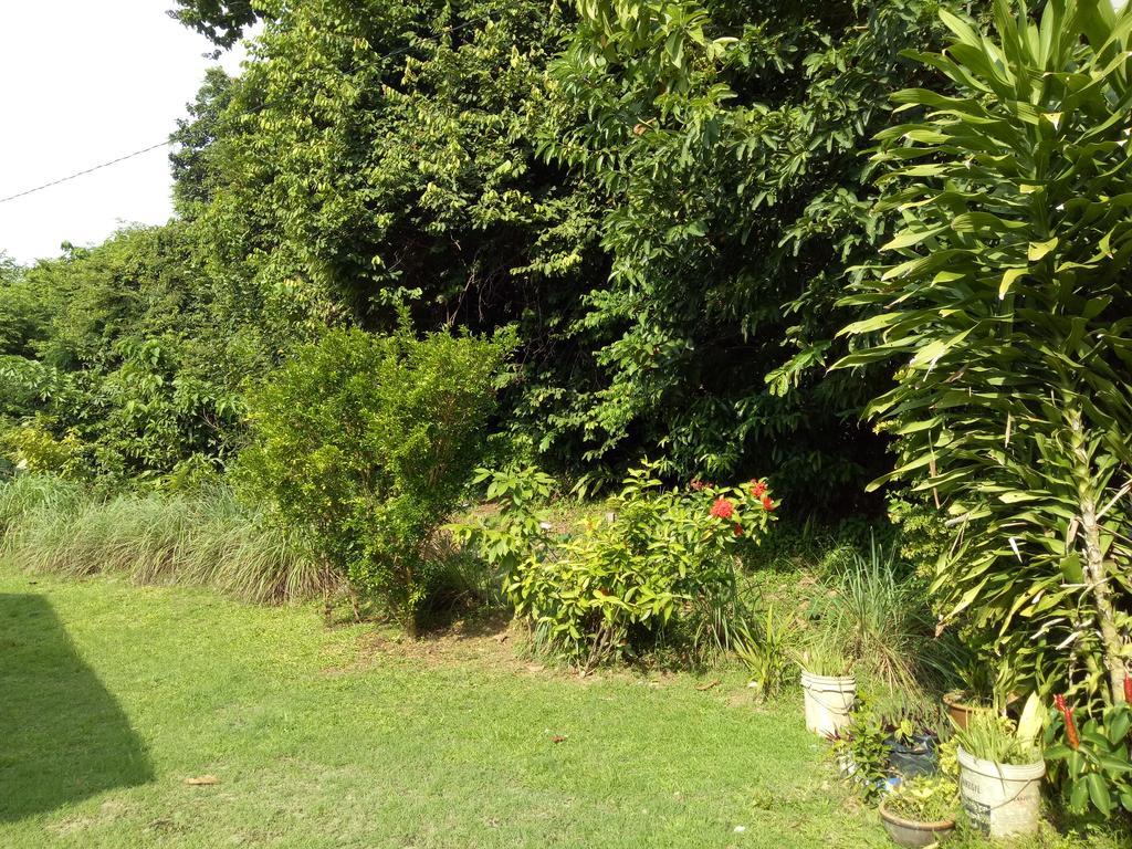 Nas Villaria Langkawi Pantai Cenang  Bagian luar foto